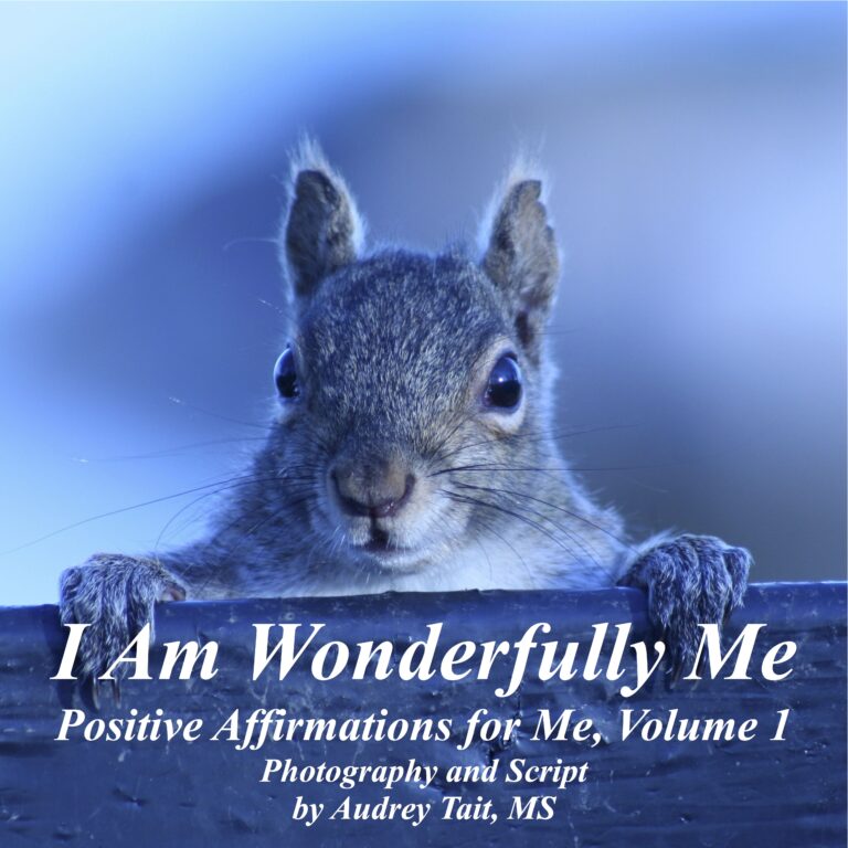 I Am Wonderfully Me: Positive Affirmations for Me! Volume 1