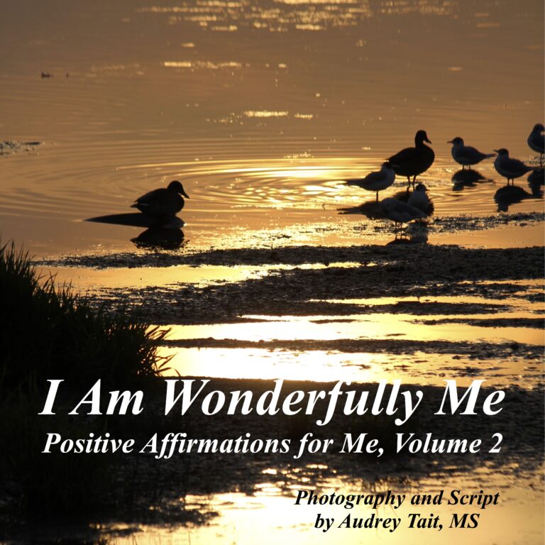 I Am Wonderfully Me: Positive Affirmations for Me! Volume 2